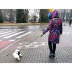 3 m hosszú, automatikusan visszahúzható póráz 8 kg-ig terjedő kutyák számára - Kép 8
