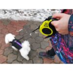 3 m hosszú, automatikusan visszahúzható póráz 8 kg-ig terjedő kutyák számára - Kép 9
