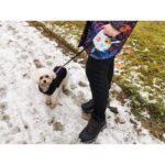 Automatikusan visszahúzható póráz, 5 m hosszú 8 kg-ig terjedő kutyák számára - Kép 7