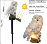 Solar LED lámpa, Modell White Owl IP 67, 43 cm - Kép 2