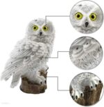 Solar LED lámpa, Modell White Owl IP 67, 43 cm - Kép 6