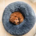 Kárpitozott kerek ágy házi kedvenceknek, tapadásmentes felület, meleg, puha anyagok, 60 cm és 2 kefe korpásodás és állatszőr eltávolításához - Kép 6