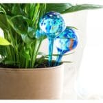Automata öntöző földgömbök Aqua·loon InnovaGoods (2 Darab)